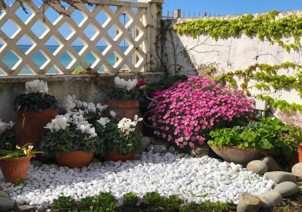 il giardino sul mare B&B Riva Ligure Exterior foto